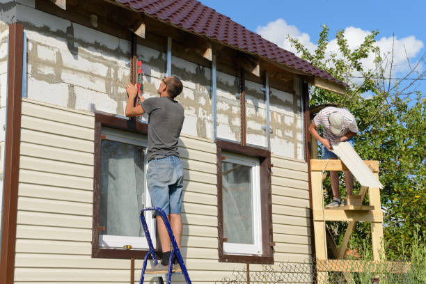 Best Siding Removal and Disposal  in Dillingham, AK