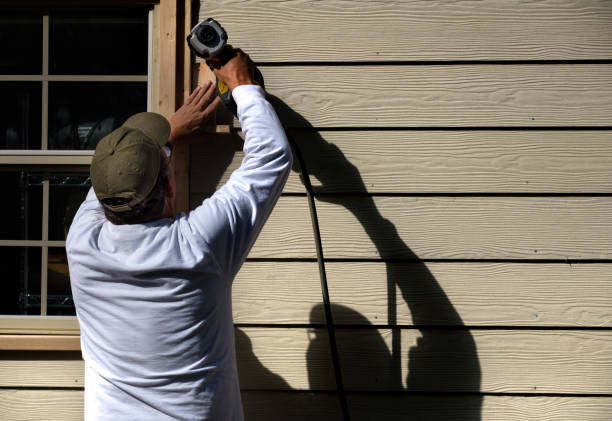 Best Siding Painting and Refinishing  in Dillingham, AK