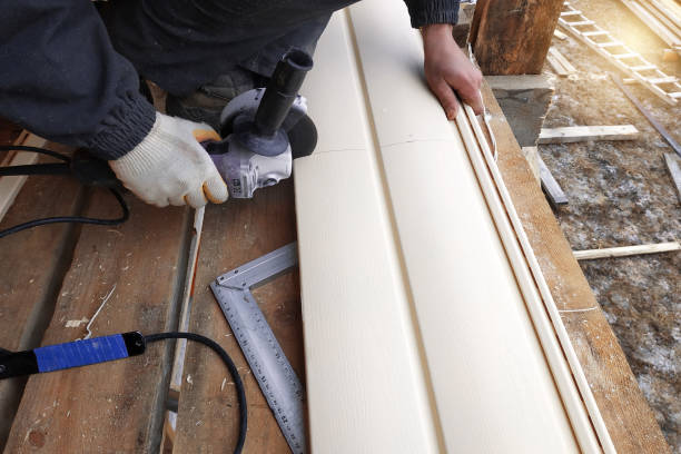 Best Weatherproofing and Sealing  in Dillingham, AK